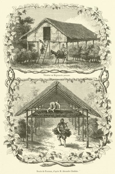 Tilembar o Magnanería persa (grabado) de French School