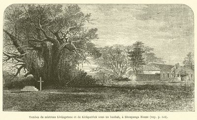 Tumbas de la señora Livingstone y de Kirkpatrick bajo un baobab, en Shoupanga House de French School