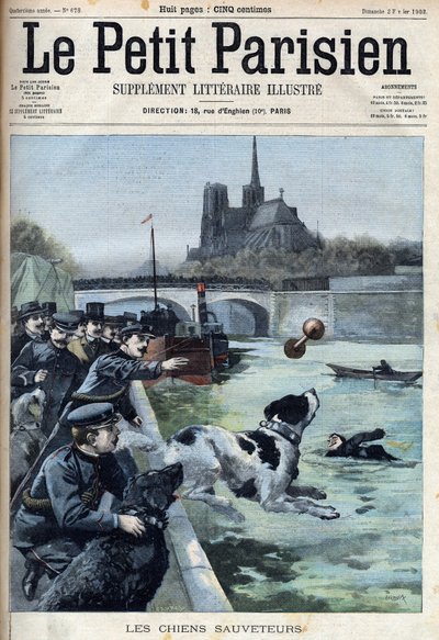 Entrenamiento de perros de rescate por la policía en el Sena en París. Grabado en "Le Petit Parisien" de French School