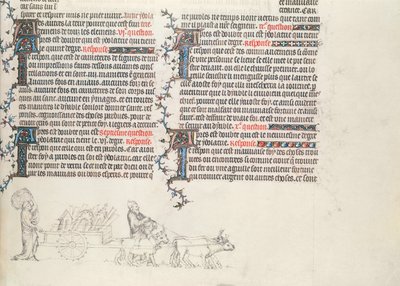 Transporte de pertenencias en un carro tirado por bueyes, miniatura inacabada de La Biblia de Jean de Sy, c.1355 de French School