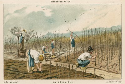 Vivero de árboles de French School