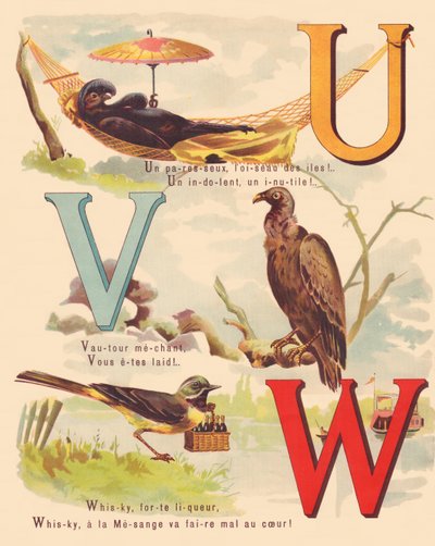 U V W: Emú negro, buitre, lavandera, whisky de French School