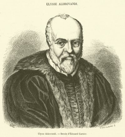 Ulisse Aldrovandi de French School