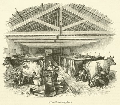 Un establo inglés (grabado) de French School