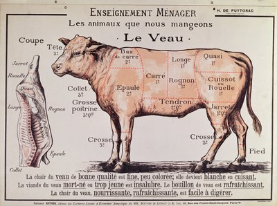Ternera: diagrama que representa los diferentes cortes de carne de French School