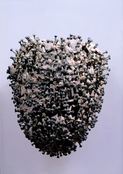 Corazón de ternera pinchado con alfileres, encontrado c.1900 en una tumba en el cementerio de Montmartre, París de French School