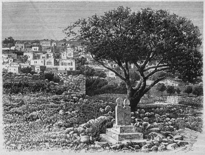Vista de Safed, de La Syrie daujourdhui. Voyages dans la Phenicie, le Liban et la Judee. 1875-1880 de Louis Charles Emile Lortet, 1884 de French School