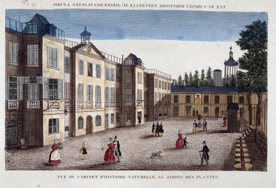 Vista del gabinete de historia natural en el Jardin des Plantes en París de French School