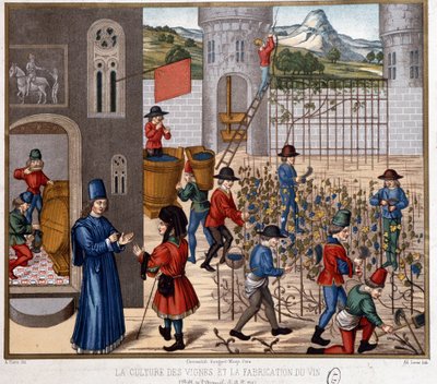 Cultivo de la vid y elaboración del vino en la Edad Media de French School