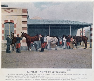 Visita del veterinario del ejército al cuartel, 1897 de French School