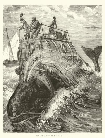 Voyage a Dos de Baleine (grabado) de French School