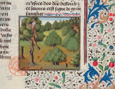 Esperando ciervos escondidos en un árbol, del Livre de la Chasse por Gaston Phebus de French School