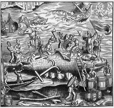 Pesca de ballenas en la costa francesa del Océano Atlántico en la Edad Media. Grabado en “La Marine et les colonies: commerce” de French School