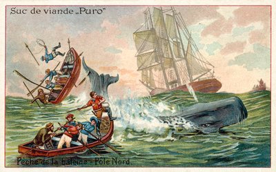 Caza de ballenas en el Ártico de French School