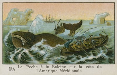 Caza de ballenas frente a la costa de Sudamérica de French School