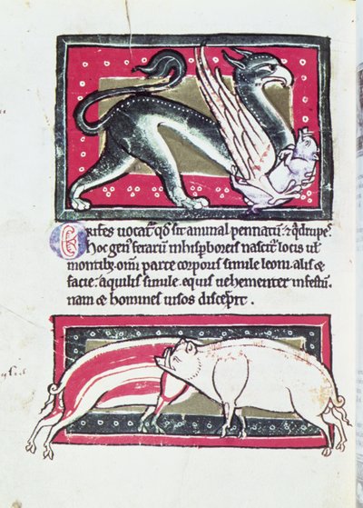 Jabalí y grifo, miniatura del Bestiario de Saltykowchsh Edrin de French School