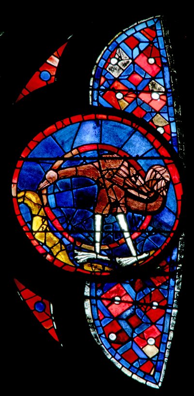 Ventana w115 que representa la Creación de las aves - un pájaro inusual de French School