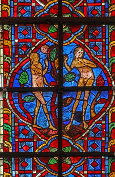 Ventana w207 que representa a Adán y Eva y la serpiente de French School