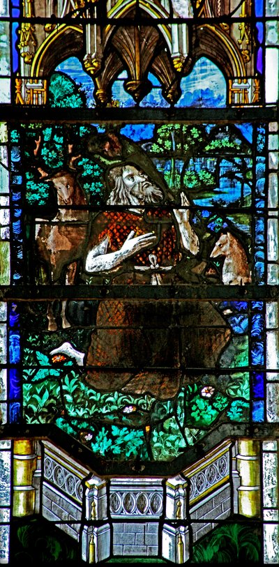 Ventana w29 que representa a San Juan Bautista predicando a los animales de French School