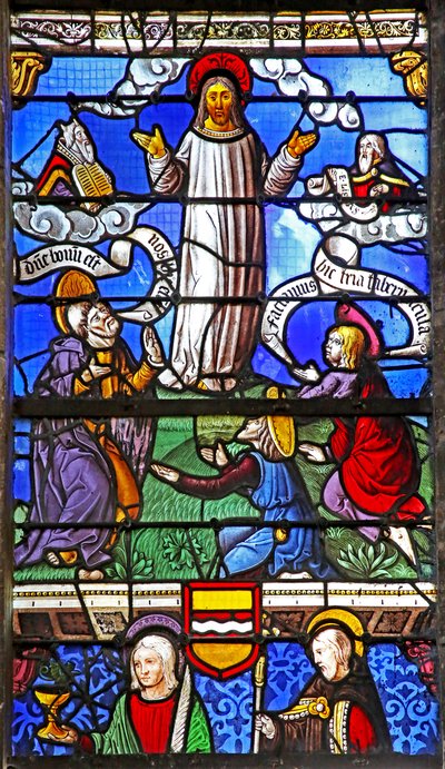 Ventana w6 que representa la Transfiguración de French School