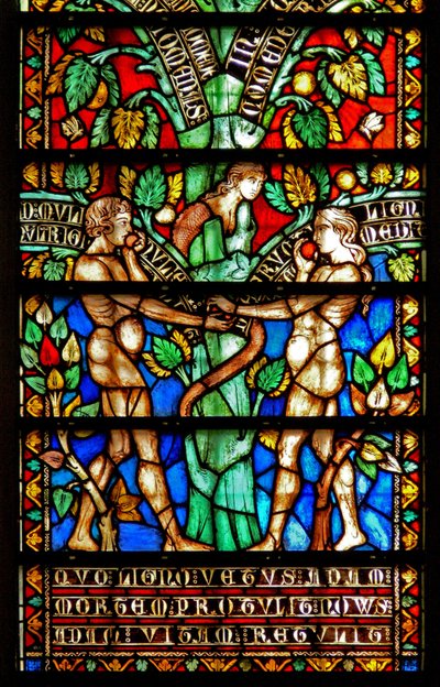 Ventana w8 que representa detalles del Árbol de la Vida de French School