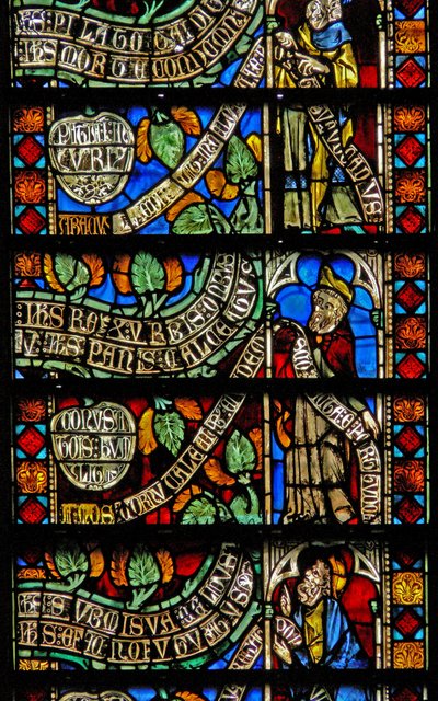 Ventana w8 que representa detalles del Árbol de la Vida de French School