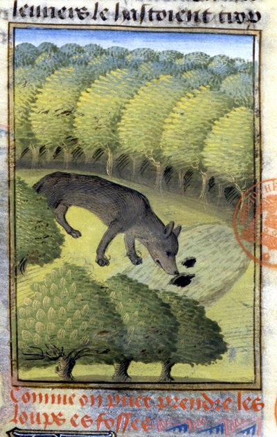 Lobo - en "Libro de Caza de Gaston Phoebus, Conde de Foix, Señor de Béarn" de French School