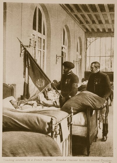 Chasseur herido besa la querida Tricolor, 1914-19 de French School