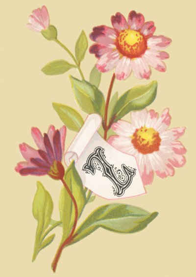 Z: zinnia - falsas escamas de French School