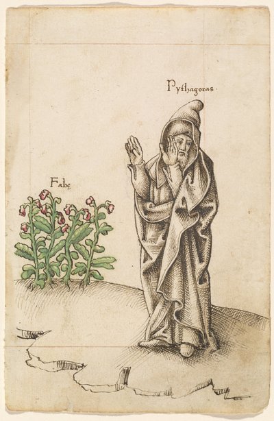 "No Comas Frijoles" (fol. 25 recto) de French early 16th Century