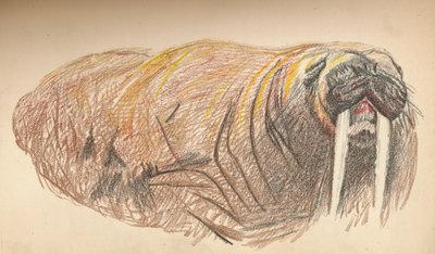 Somnoliento y enfadado, 12 de septiembre de 1893. Boceto a pastel, 1893, 1897 de Fridtjof Nansen