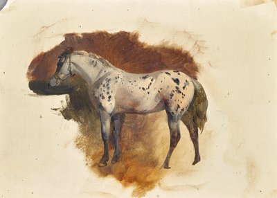 Moho manchado de Friedrich August Mathias Gauermann