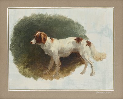 raíz de Friedrich August Mathias Gauermann