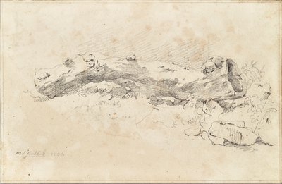 Tronco de árbol hueco de mentira de Friedrich August Mathias Gauermann