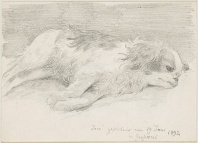 estudios de perros de Friedrich August von Kaulbach
