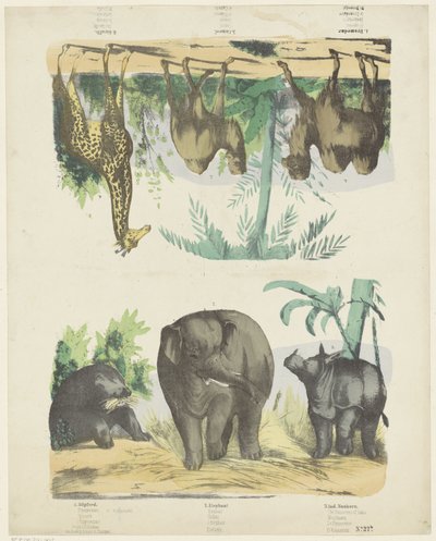 Animales salvajes de Friedrich Gustav Schulz