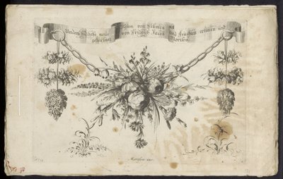 Diferentes nuevos adornos de flores y frutas. de Friedrich Jacob Morisson