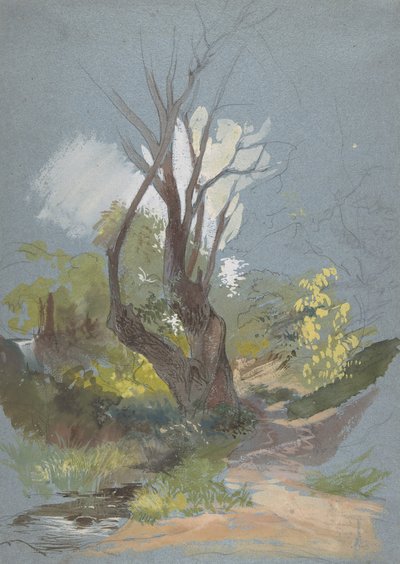 Camino de montaña con un árbol de Friedrich Nerly