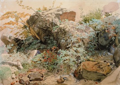 Rocas cubiertas de arbustos junto a un arroyo de montaña de Friedrich Nerly