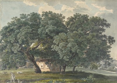 Paisaje Italiano con Árboles recto, 1815-21 de Friedrich Salathé