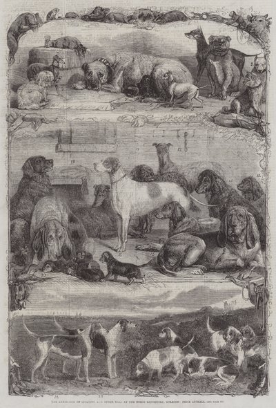 La exposición de perros deportivos y otros en el Horse Repository, Holborn, animales premiados de Friedrich Wilhelm Keyl