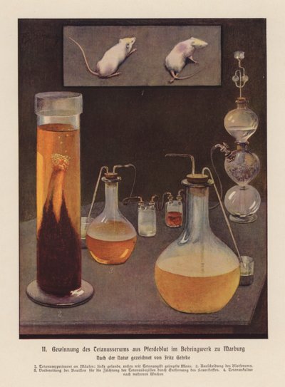 Obtención de suero antitetánico a partir de sangre de caballo, Marburgo, Alemania (litografía en color) de Fritz Gehrke