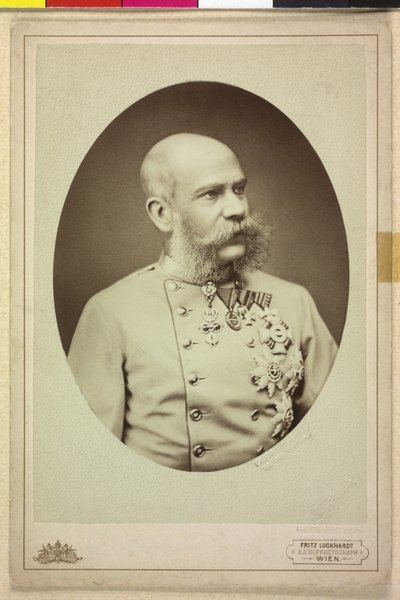 Francisco José I de Fritz Luckhardt