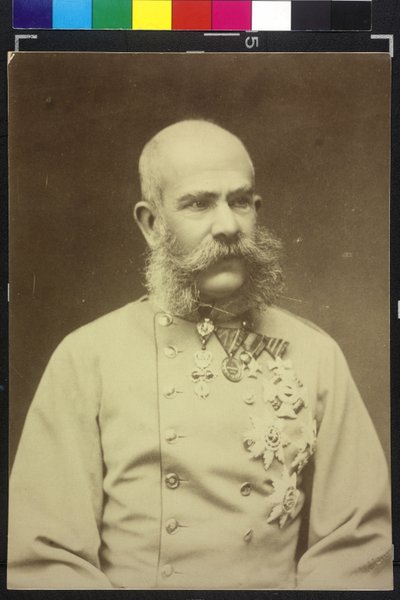 Francisco José I de Fritz Luckhardt