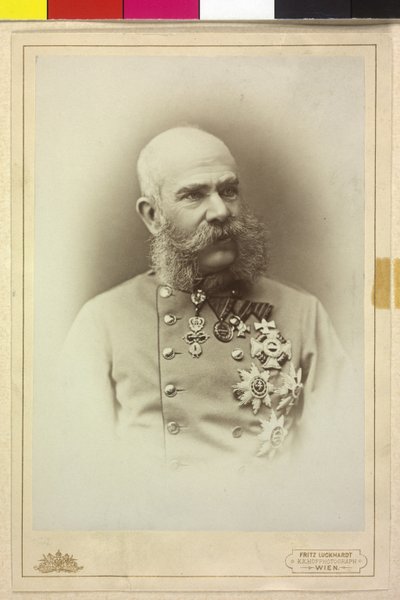 Francisco José I de Fritz Luckhardt