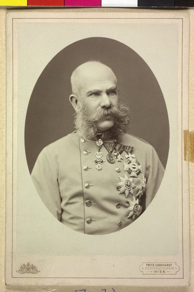 Francisco José I de Fritz Luckhardt