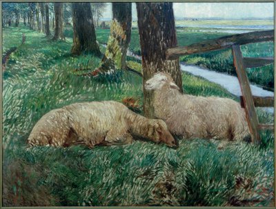 Ovejas descansando de Fritz Mackensen