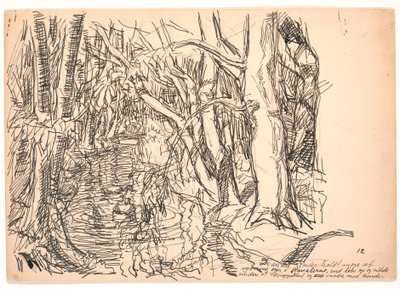 Los otros patos de Fritz Syberg