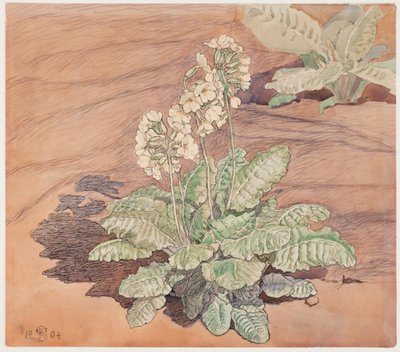 Primavera creciendo al sol de Fritz Syberg