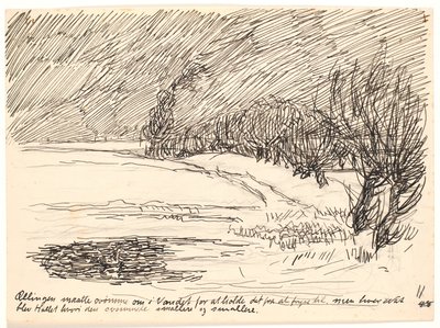 El patito tenía que nadar... de Fritz Syberg